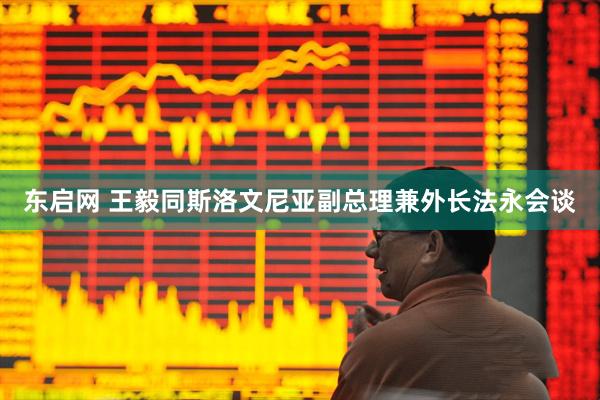 东启网 王毅同斯洛文尼亚副总理兼外长法永会谈