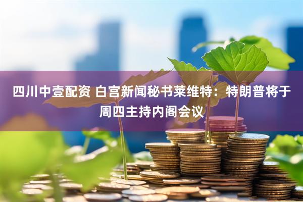 四川中壹配资 白宫新闻秘书莱维特：特朗普将于周四主持内阁会议