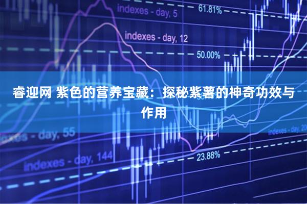 睿迎网 紫色的营养宝藏：探秘紫薯的神奇功效与作用