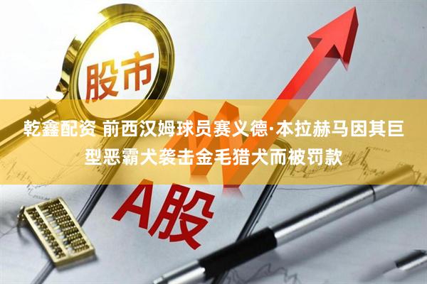 乾鑫配资 前西汉姆球员赛义德·本拉赫马因其巨型恶霸犬袭击金毛猎犬而被罚款