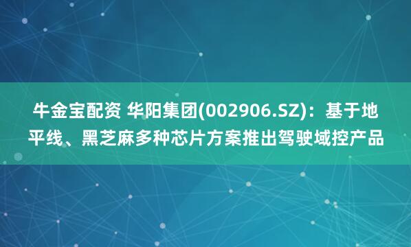 牛金宝配资 华阳集团(002906.SZ)：基于地平线、黑芝麻多种芯片方案推出驾驶域控产品